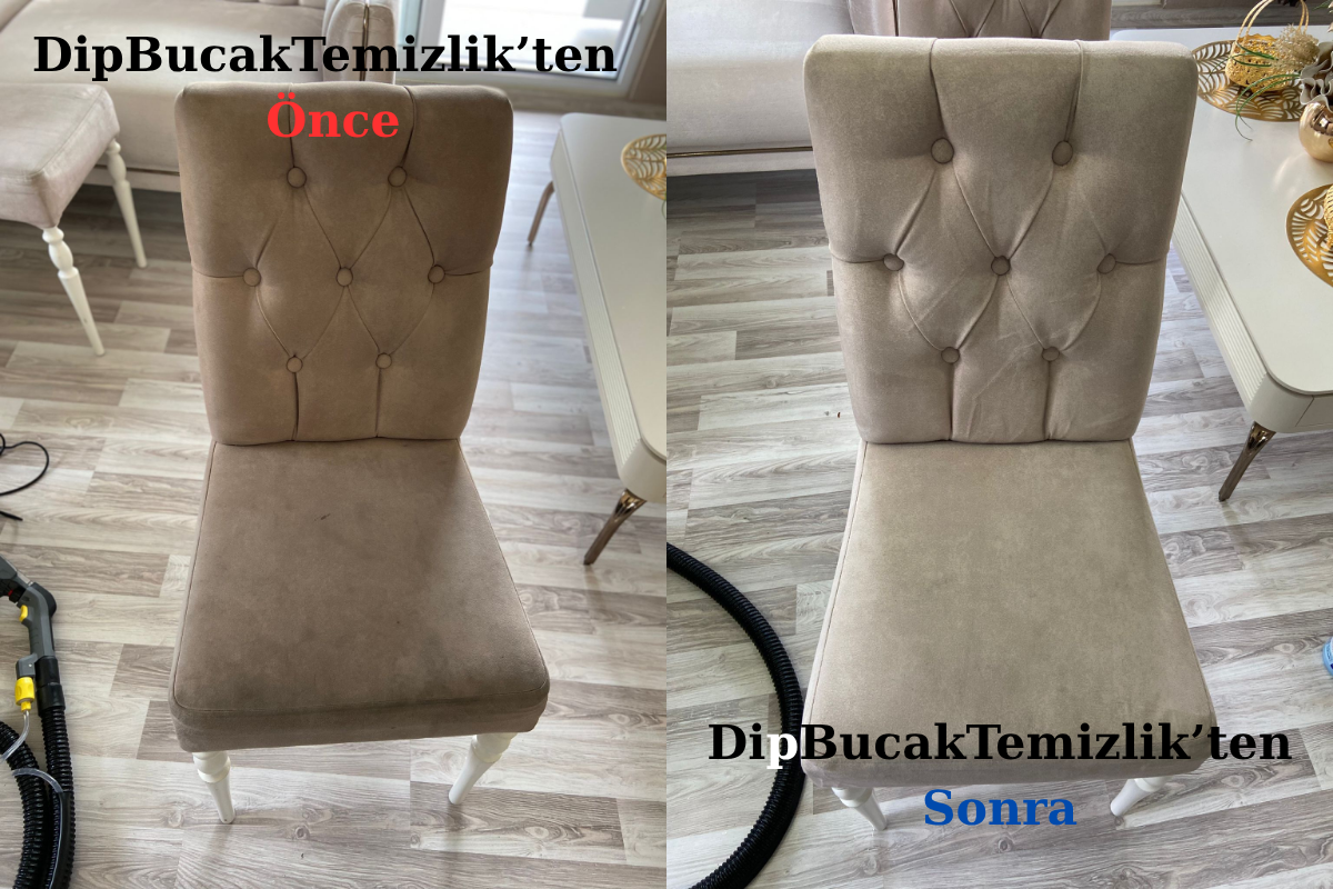 Sandalye Temizliği